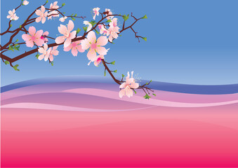 sakura pink violet backdrop