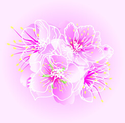 pink flowers with hand drawn contour lineart
