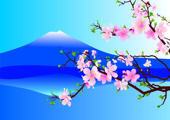 cherry blossom sakura and mountain