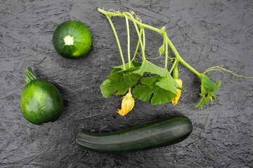 pumpkins, pumpkins on a whip, food, garden, texture, background, place for text