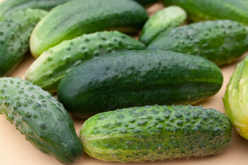 cucumbers, cucumber, food, garden, texture, background, place for text