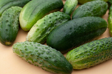 cucumbers, cucumber, food, garden, texture, background, place for text