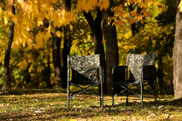 Pair of camping chairs in park on sunny day