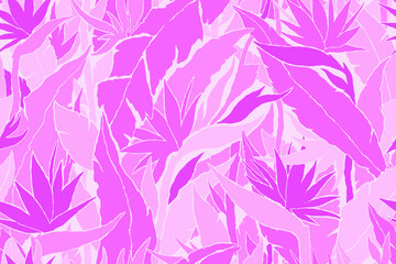 Fototapeta na wymiar Pink Bird of Paradise Exotic Jungle plants pattern. Contemporary floral seamless pattern. Vector illustration background. 
