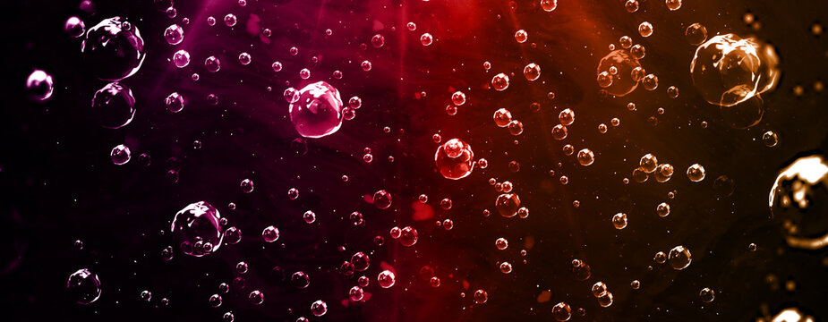 海の中 Images Browse 1 360 Stock Photos Vectors And Video Adobe Stock