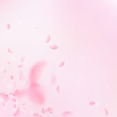 Sakura petals falling down. Romantic pink flowers corner. Flying petals on pink square background. Love, romance concept. Awesome wedding invitation.