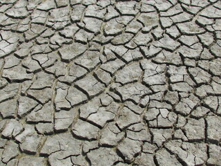 cracked earth