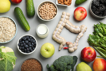 Layout of intestine model and products to help digestion on light table, top view