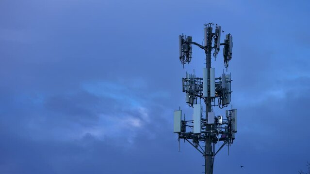 Timelapse of cell tower against darkening sky with racing clouds and birds moving among antennas
