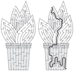 Plant maze