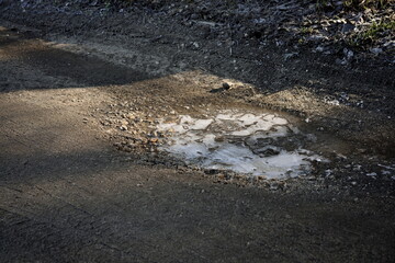 Frozen puddle on a forest road in winter 