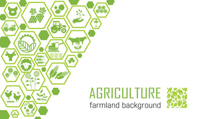 Banner of farm icons. Agricultural template of a leaflet, booklet with emblems of the branches of agriculture, crop production, animal husbandry and agricultural machinery