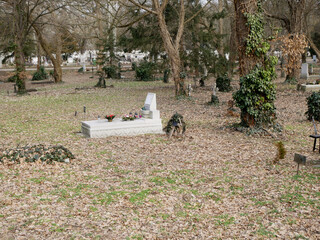 Tombstones in the public cemetery