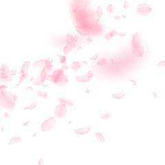 Obraz na płótnie Canvas Sakura petals falling down. Romantic pink flowers corner. Flying petals on white square background. Love, romance concept. Wonderful wedding invitation.