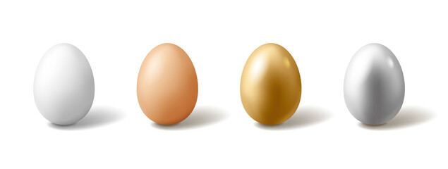 Set of eggs on white background.