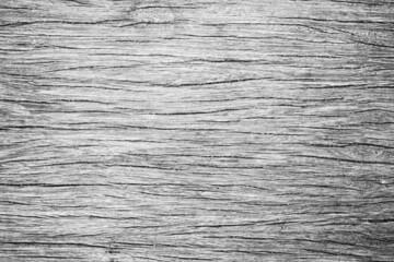 Fototapeta premium old white bright wooden texture, wood background panorama,gray. wood texture with natural feel design figure.