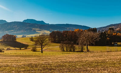 Obraz premium Beautiful autumn or indian summer view at the famous Hoeglwoerther See lake, Hoeglwoerth, Bavaria, Germany