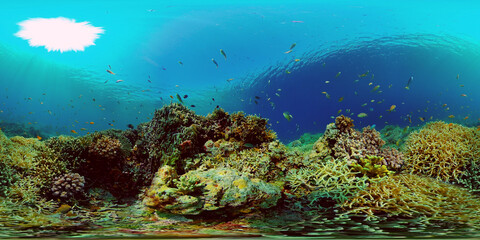 Reef Coral Tropical Garden. Tropical underwater sea fish.