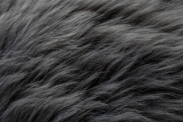 Beautiful grey faux fur as background, closeup view