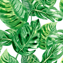 Watercolor hand drawn monstera leaves seamless pattern. Tropical foliage background. Jungle print for fabric and wrapping paper. Exotic wallpaper	