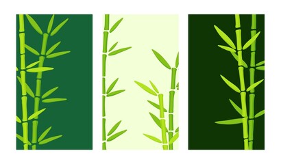 Web banner for social media mobile apps, organic design with bamboo grass. Eco trend. Editable vector templates