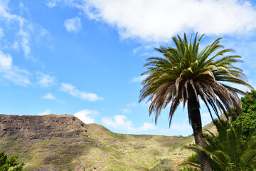 Fototapeta na wymiar Tenerife , canary islands nature , clouds , spain volcano
