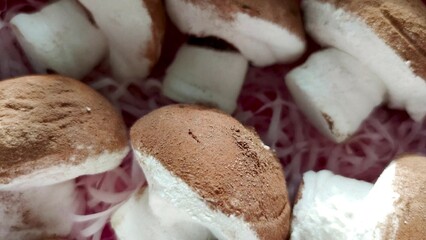 close up of mushrooms