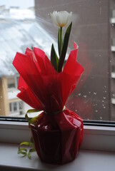 Spring flowers. Dew on the flowers. Floral freshness.