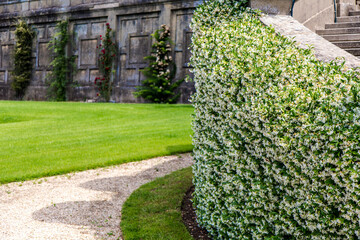 I giardini delle Ville Pontificie a Castel Gandolfo