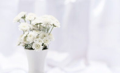 White flowers in white vase on white background with copy space and selective focus. Greeting or invitation card