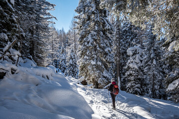 Trentino, paseggiata sulla neve