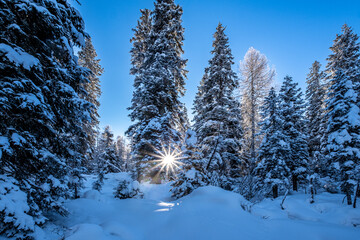 Trentino, pesaggio invernale