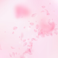 Fototapeta na wymiar Sakura petals falling down. Romantic pink flowers corner. Flying petals on pink square background. Love, romance concept. Alluring wedding invitation.