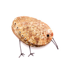funny little birds made of a green ormer shell, with sketchily drawn legs and beak, 
and an eye...