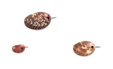funny little birds made of a green ormer shell, with sketchily drawn legs and beak, 
and an eye...