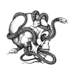Human Skull Entwined by Snakes. Print or Tattoo Design. Hand Drawn Vector Illustration