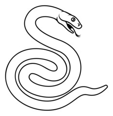 Snake Chinese Zodiac Horoscope Animal Year Sign