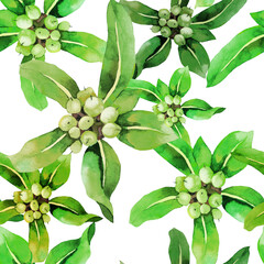 Obraz premium Exotic fruits with leaves green watercolor on white background seamless pattern.
