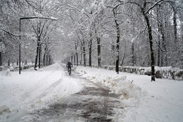 Ciclista percorre viale alberato nel Parco di Monza durante una nevicata invernale