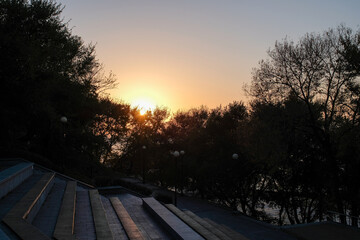 sunset in the park