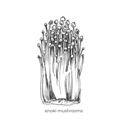 406_enоki mushrooms_enoki, edible, graphics, food, sketch, hand drawing, asian food ingredient, japanese mushroom,