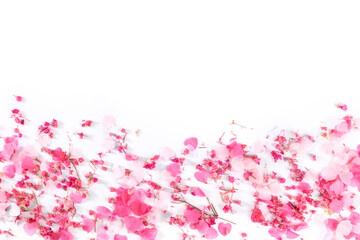 Valentine day greeting card or invitation design template with pink hearts on a white background and a place for text, a flat lay for a wedding invitation