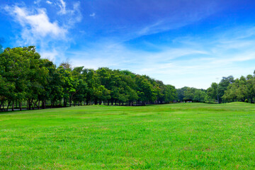 Green grass field with blue sky landscape background.