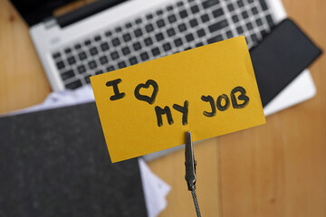 I love my job written