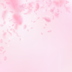Sakura petals falling down. Romantic pink flowers falling rain. Flying petals on pink square background. Love, romance concept. Memorable wedding invitation.