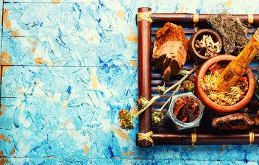 Medicinal herbs set.