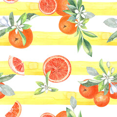 Oranges seamless pattern. Citrus , tangerines, sweet clementines. Vegetarian tropical fruit. Isolated elements. Stock illustration. Hand painted in watercolor.