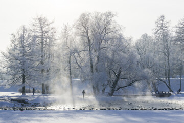 Obraz na płótnie Canvas Frosty morning by the lake in the park
