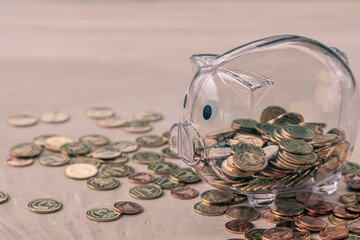 Piggy bank put on the many gold coins with growth of value the benefit from dividends put on the...