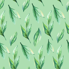 Fototapeta premium Watercolor leaves on green background. Spring,summer herbal print.